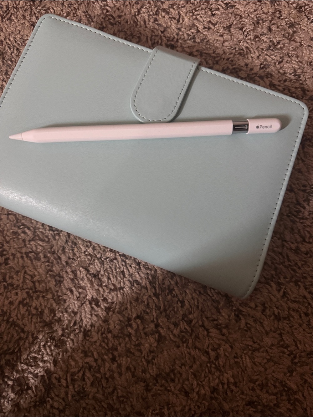 Apple Pencil USB-C (out of box)